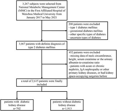 Neck-to-height ratio is positively associated with diabetic kidney disease in Chinese patients with type 2 diabetes mellitus